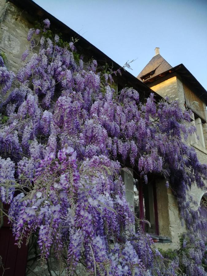 Chateau St.Gaultier Saint-Gaultier Dış mekan fotoğraf
