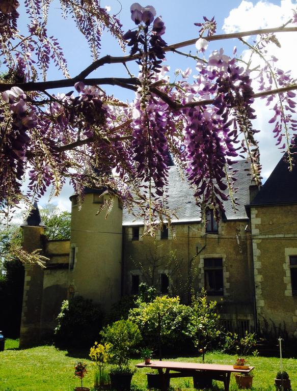 Chateau St.Gaultier Saint-Gaultier Dış mekan fotoğraf
